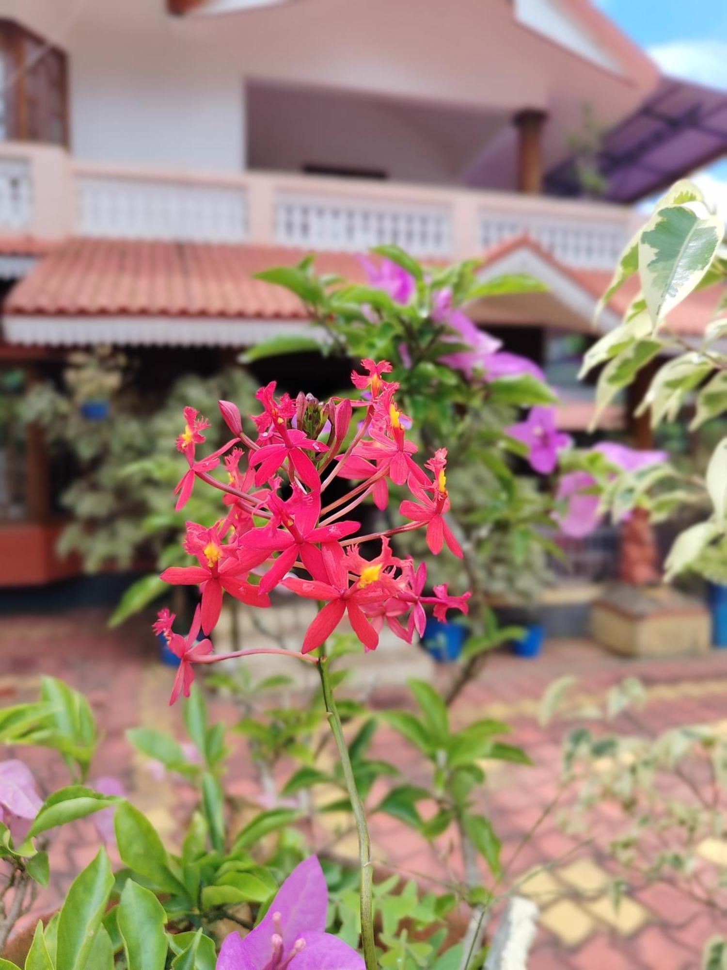Shivalaya Homestay, Madikeri Siddāpur المظهر الخارجي الصورة