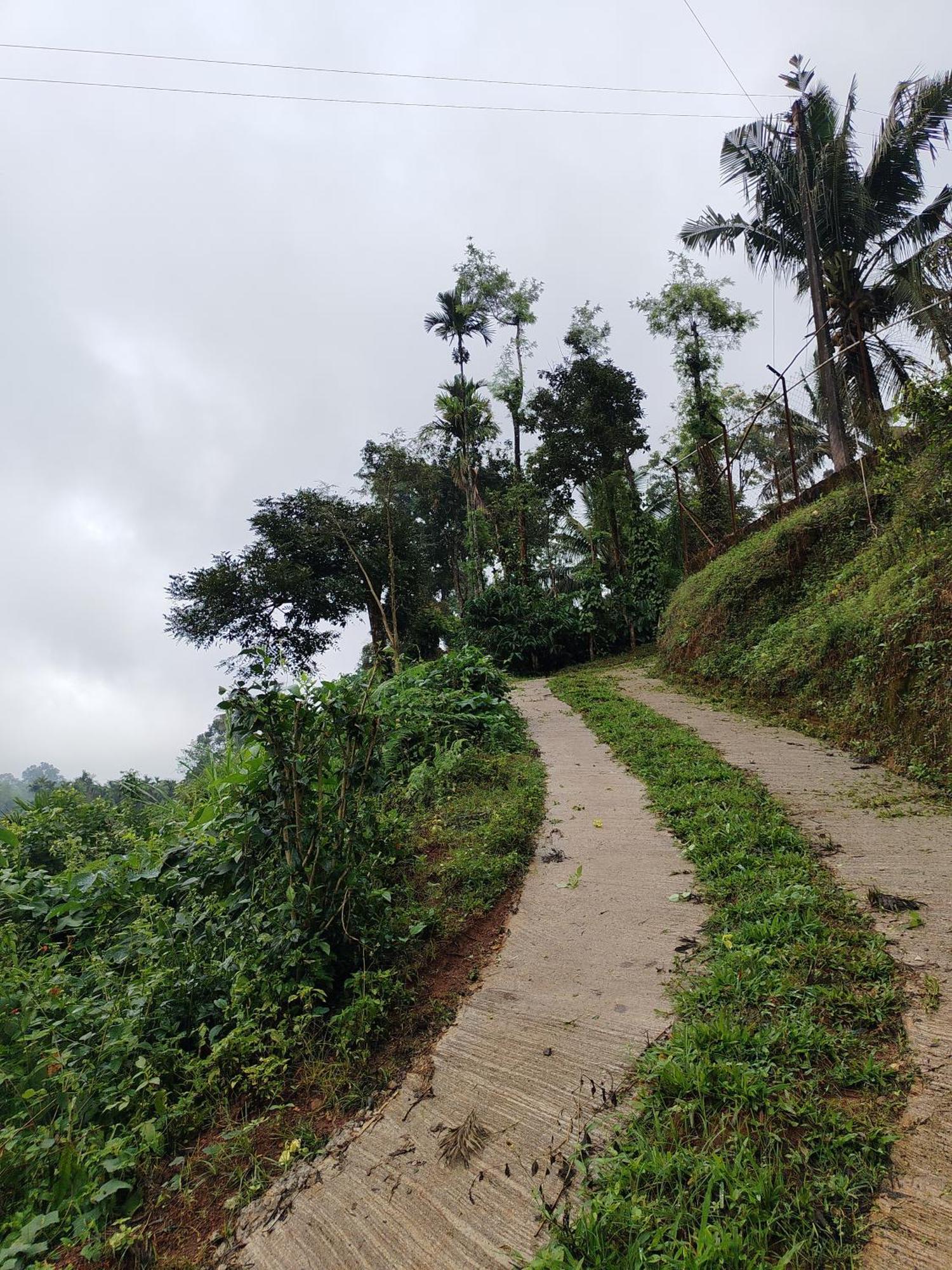 Shivalaya Homestay, Madikeri Siddāpur المظهر الخارجي الصورة