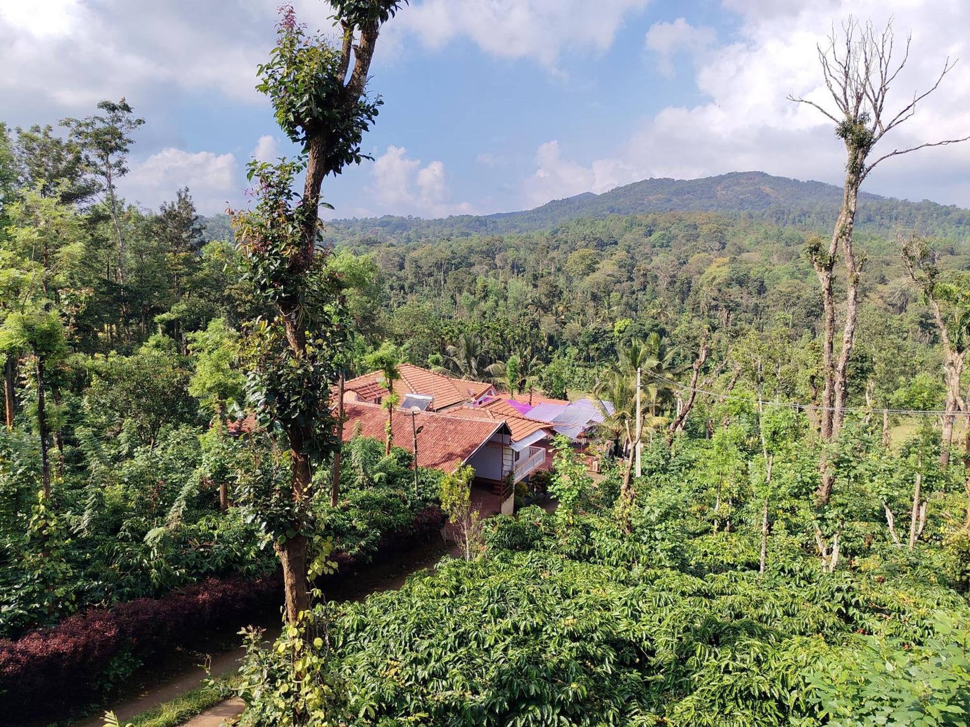 Shivalaya Homestay, Madikeri Siddāpur المظهر الخارجي الصورة