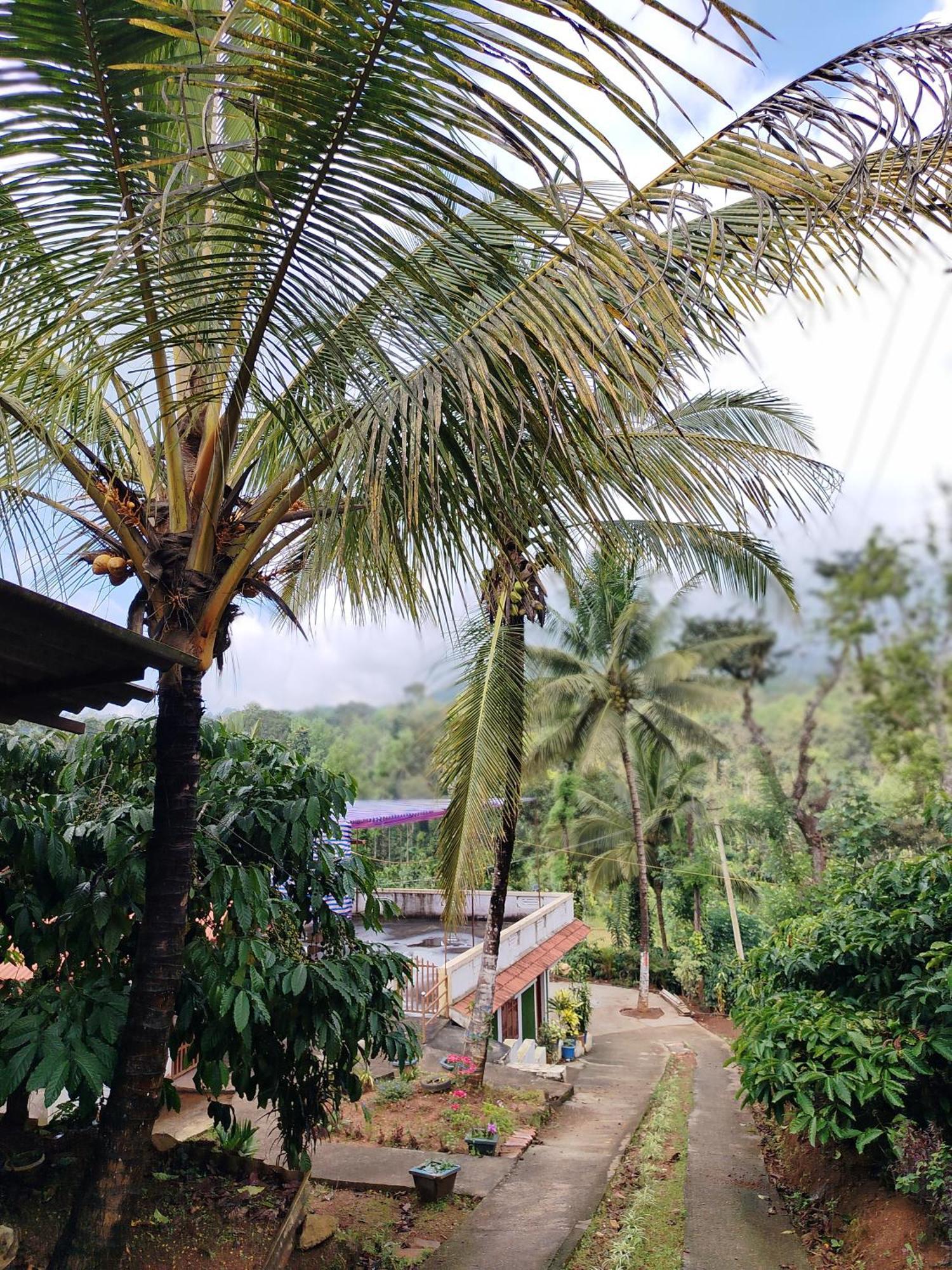 Shivalaya Homestay, Madikeri Siddāpur المظهر الخارجي الصورة